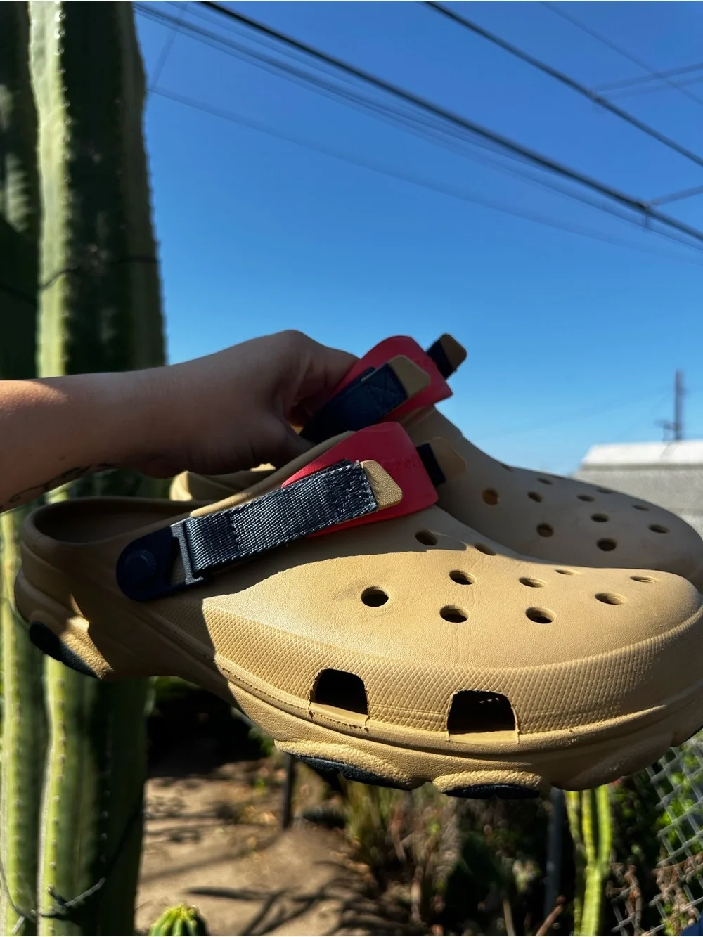 CROCS Classic Clog Sandal in Tan with Red & Blue  Strap Men’s #13